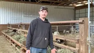 Small Ruminant Webinar 3- Commercial Culling Criteria