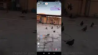 ГОЛУБИ ДРУЗЕЙ ИЗ АЗИИ.