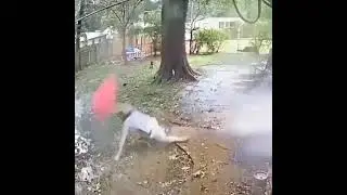 Saved himself but Luckily Saved Himself