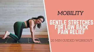 MOBILITY // 20 Min Guided Gentle Stretches to Relieve Low Back Pain (Beginner Friendly)