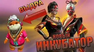 НОВЫЙ ИНКУБАТОР И ПИТОМЕЦ-ВЫДРА! НОВОСТИ ФРИ ФАЕР
