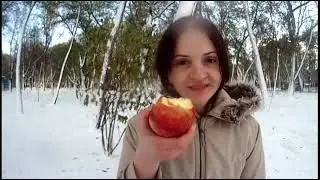 Snow Winter Apples