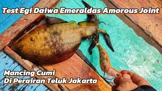 Squid Fishing Using Egi Daiwa Emeraldas Amorous Joint