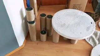 Дерево и латок для бенгальского кота в квартире