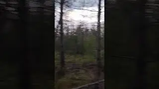 Отдыхаем на рыбалке