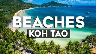Top 10 Best Beaches in Koh Tao, Thailand - Travel Video 2024