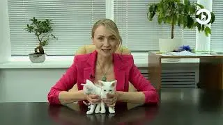 Ушки на макушке с Анной Рудаковой, выпуск 25.