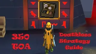 INSANITY!!!  Solo Deathless 350 TOA Guide!