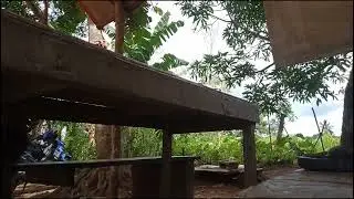 Bos yang main tekan