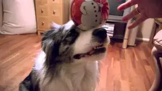 Flint balancing bauble