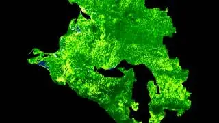 Анимация NDVI за 2012 год (Low res)