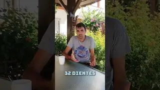Dieta macrobiótica en relación a los dientes