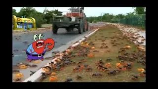 Mr. Krabs 