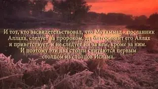 Шейх ибн Салих ибн Усаймин - Два свидетельства