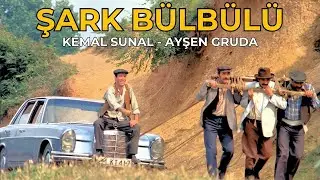 Şark Bülbülü | Restorasyonlu Eski Türk Filmi | Kemal Sunal Filmleri