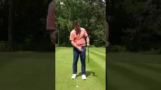 Who says you can't use the putter!? 🤷‍♂️🤣  #dangrievegolf