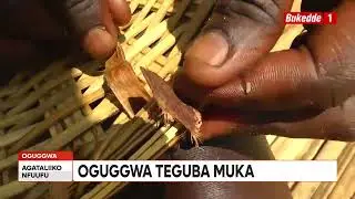 Agataliikonfuufu: Oguggwa teguba muka gaagano amakulu g'olugali, luyamba mu kuwewa emmere