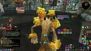 World of Warcraft Wotlk Classic 10 Man ToGC