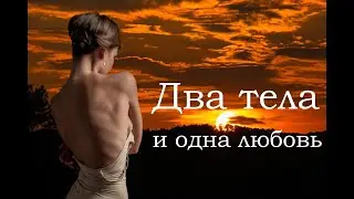 Александр Кононов - Два тела и одна любовь