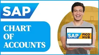 CHART OF ACCOUNTS | SAP FICO