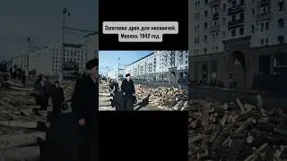 1,000 cubic meters of firewood a day: how Moscow survived the war
