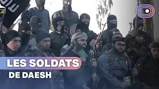 Au cœur de l’organisation Daesh