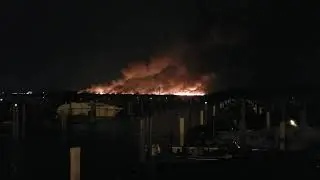 Fighting Island Burns