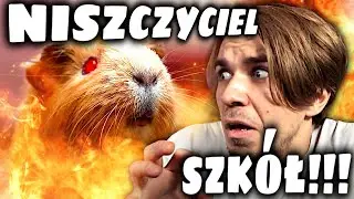 SZKOŁA - ZAGINIONA ŚWINKA MORSKA😭😫