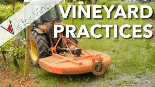 What is Organic, Biodynamic, and Sustainable Wine and Wine Making? - V is for Vino Wine Show