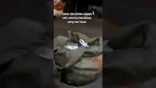 Berbagi Makan Gratis Di Jalan #shorts #ahonkmv #berbagi
