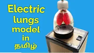 நுரையீரல் I Electric lungs working model I science project l DCT