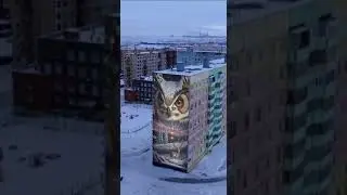 Изображение совы на торце дома район Кайеркан Норильск!