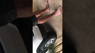 Speaking with Neighbor About Chasing My Cat