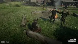Профессионал своего дела | RDR RP | RISE RP