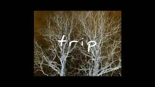 Trip (Official Audio)