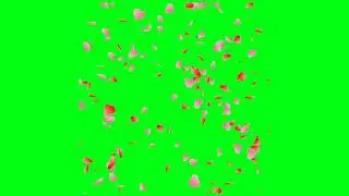 Confetti, heart showers green screen