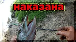 Случай на рыбалке - "ОДИН НА МИЛЛИОН". Вернул свой крючок, который срезала щука. Рыбалка на Оке.