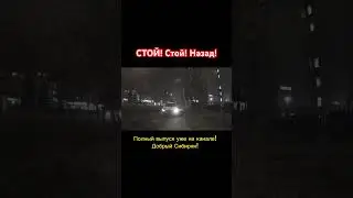 СТОЙ! Стой! Назад! 