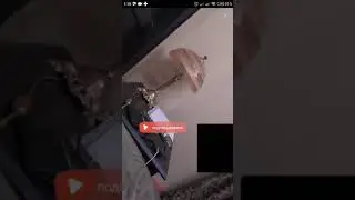 Всё о чеченцах и чеченках Ко Ко95 мармеладка в обстреле