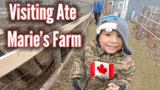 Binigyan ako ng apat na Manok / life in canada 🇨🇦/ LAAGANGBISDAK dc