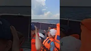 2 декабря 2022 г.