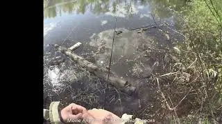1 МАЙСКИЙ ДЕНЬ на ротаньем пруду. ЛОВЛЯ РОТАНА на микроджиг