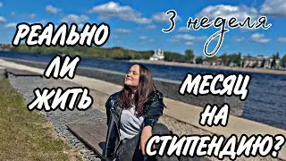 ЖИВУ МЕСЯЦ НА СТИПЕНДИЮ || 3 НЕДЕЛЯ