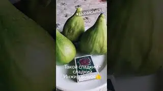 инжир поспел😊, съели.