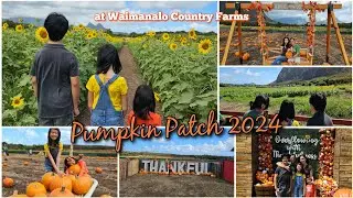 Have You Seen The Most Beautiful Pumpkin Patch?🤔🎃😍🌻 Family Annual Pumpkin Patch 2024🧡