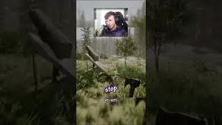 Losing My Mind in the Forest
