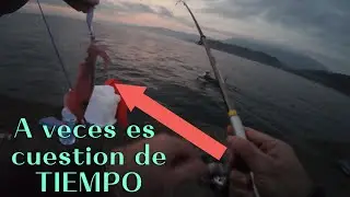 Pescar CALAMARES a veces es cuestion de tiempo