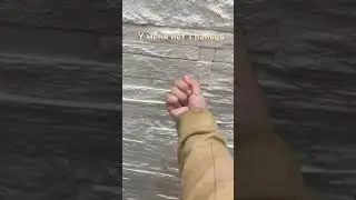 19 мая 2024 г.