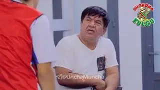 Shohona kulgu