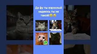 #ютуб